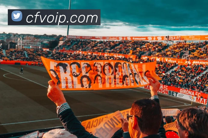 买球网全站App